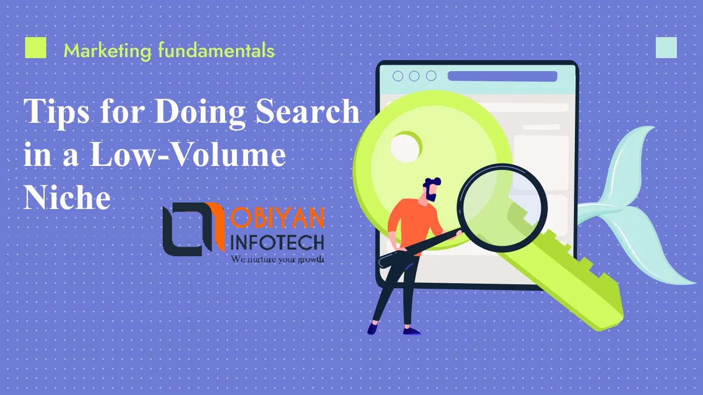 Helpful Tips for Doing Search in a Low-Volume Niche