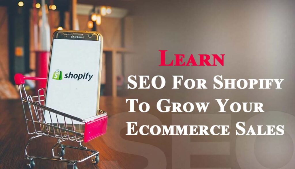 Learn SEO For Shopify