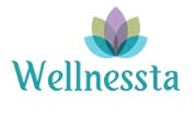 wellnessta-seo