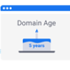 Domain Age Competitor Analysis